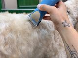 Labradoodle Clipper Set - Cordless MAX