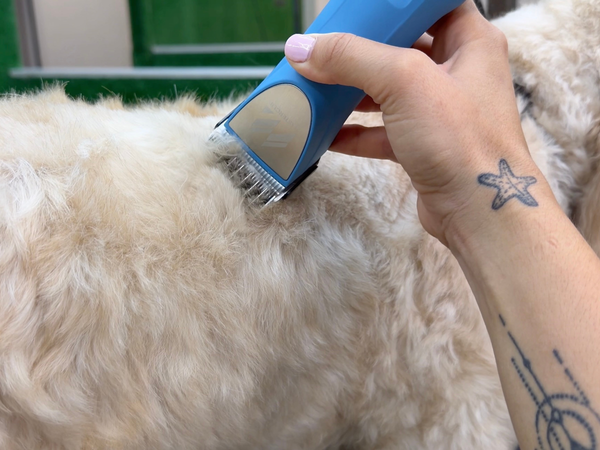 Labradoodle Clipper Set - Cordless MAX