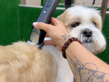 Havanese Dog Clipper Set - Cordless PRO