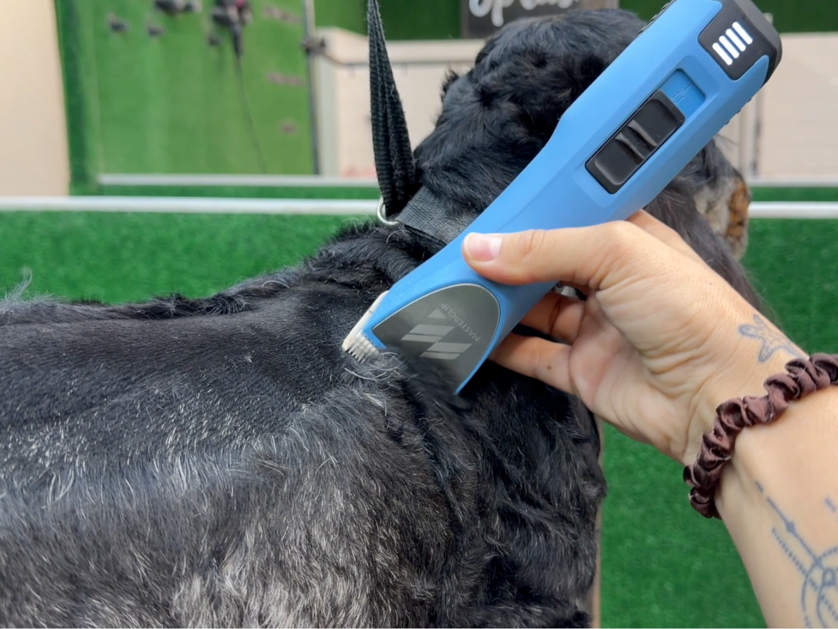 Cocker Spaniel Dog Clipper Set - Cordless MAX with 4 Comb Guides