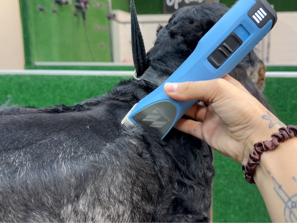 Cocker Spaniel Dog Clipper Set - Cordless MAX with 4 Comb Guides