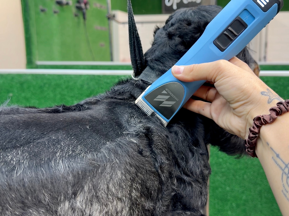Cocker Spaniel Dog Clipper Set - Cordless MAX with 4 Comb Guides