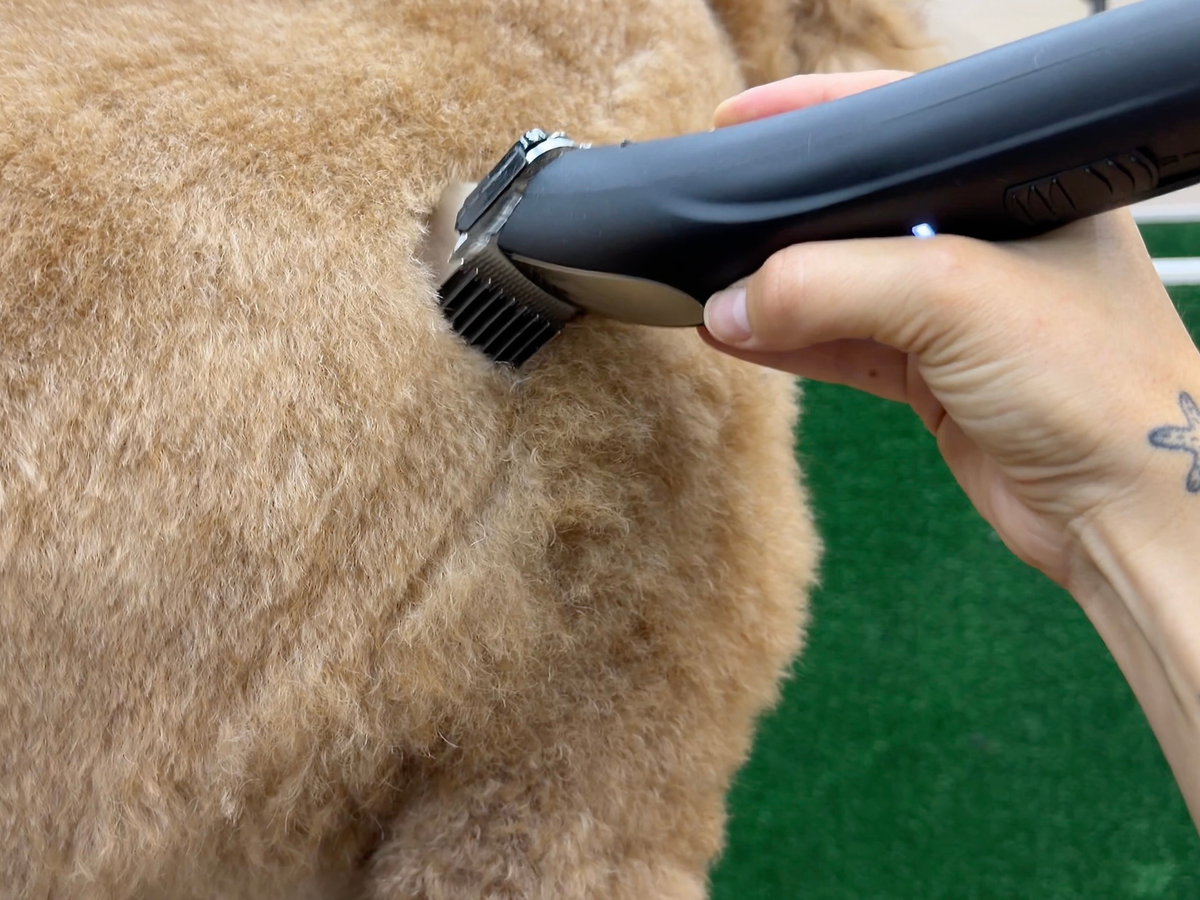 Havanese Dog Clipper Set - Cordless PRO