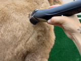 Havanese Dog Clipper Set - Cordless PRO
