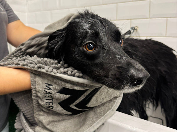 Microfibre Noodle Quick Drying Chenille Towel