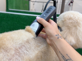Havanese Dog Clipper Set - Cordless PRO