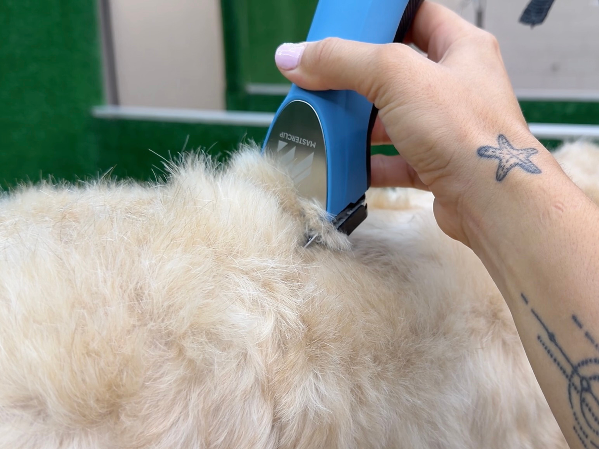 Labradoodle Clipper Set - Cordless MAX