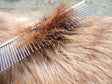 7" Metal Combination Rabbit Grooming Comb-Masterclip