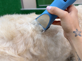 Labradoodle Clipper Set - Cordless MAX
