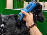Cavalier King Charles Dog Clipper Set - Cordless MAX