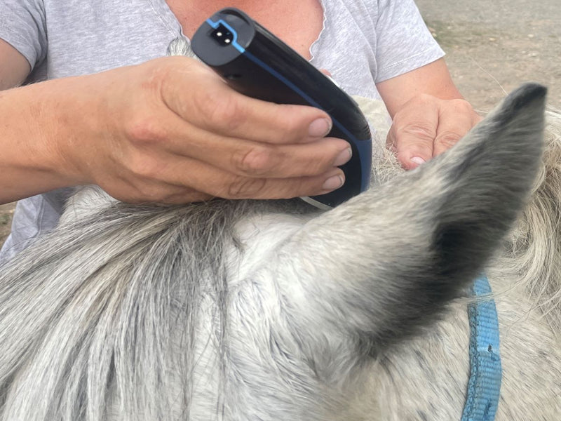 Showmate II Cordless Horse Trimmer - Silver