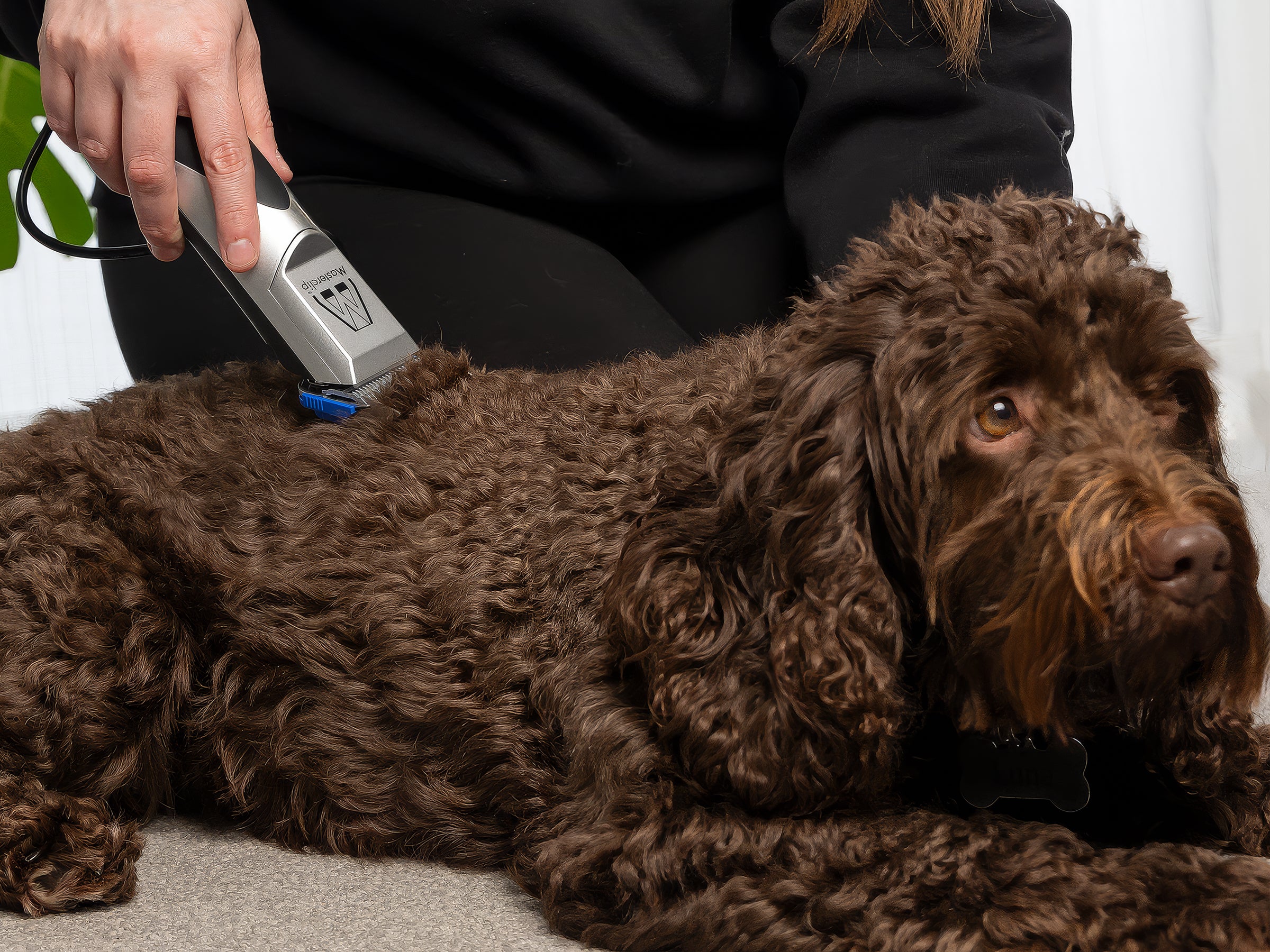 Dog Clipe Professional Dog Clipper with Comb Guides | Masterclip