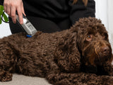 Cocker Spaniel Dog Clippers Set - Mains