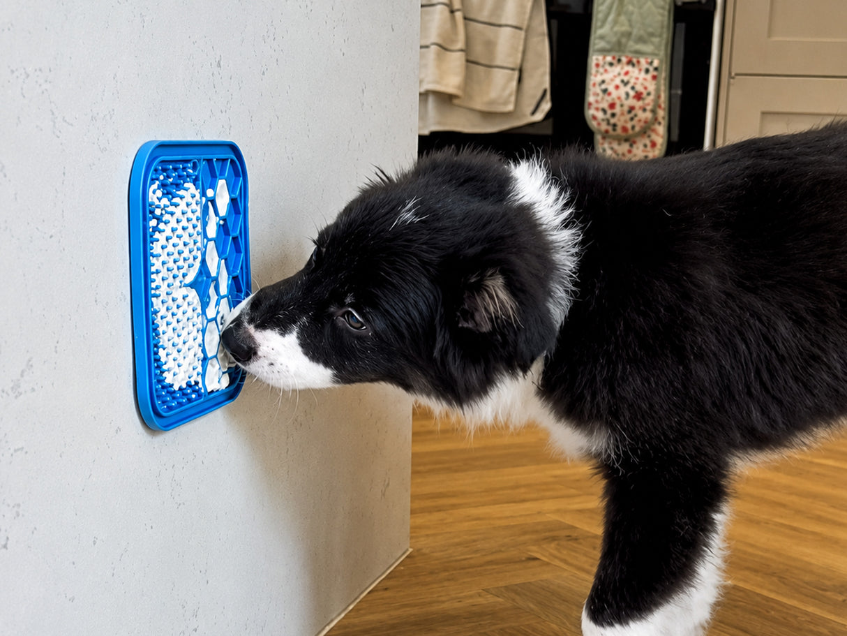 Small Anxiety Reducing Slow Feeding Lick Mat - Blue