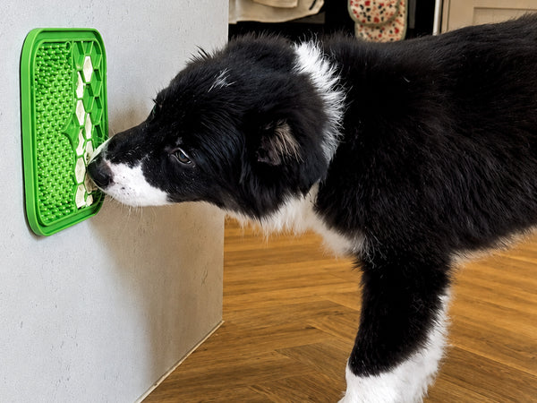Small Anxiety Reducing Slow Feeding Lick Mat - Green