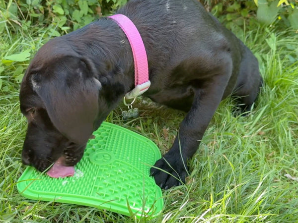 Large Anxiety Reducing Slow Feeding Lick Mat - Green