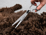 Cockapoo ESSENTIALS - Set of 4 Dog Grooming Scissors - BLACK