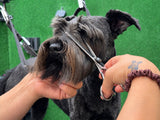Schnauzer ESSENTIALS Thinning Scissors - BLACK