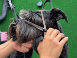 Schnauzer ESSENTIALS Thinning Scissors - BLACK