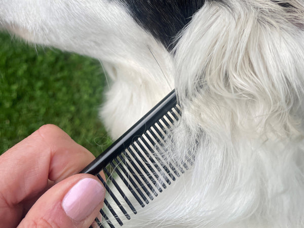 ONYX - 6" Black Combination Grooming Comb | Masterclip