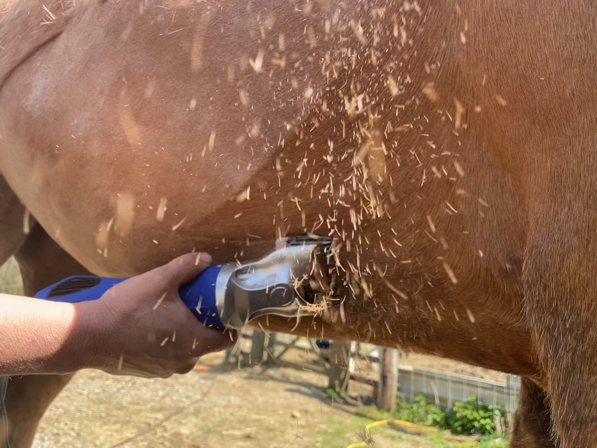 Ex-Demo Masterclip Hunter - Lightweight 200W Professional Horse Clipper - Blue