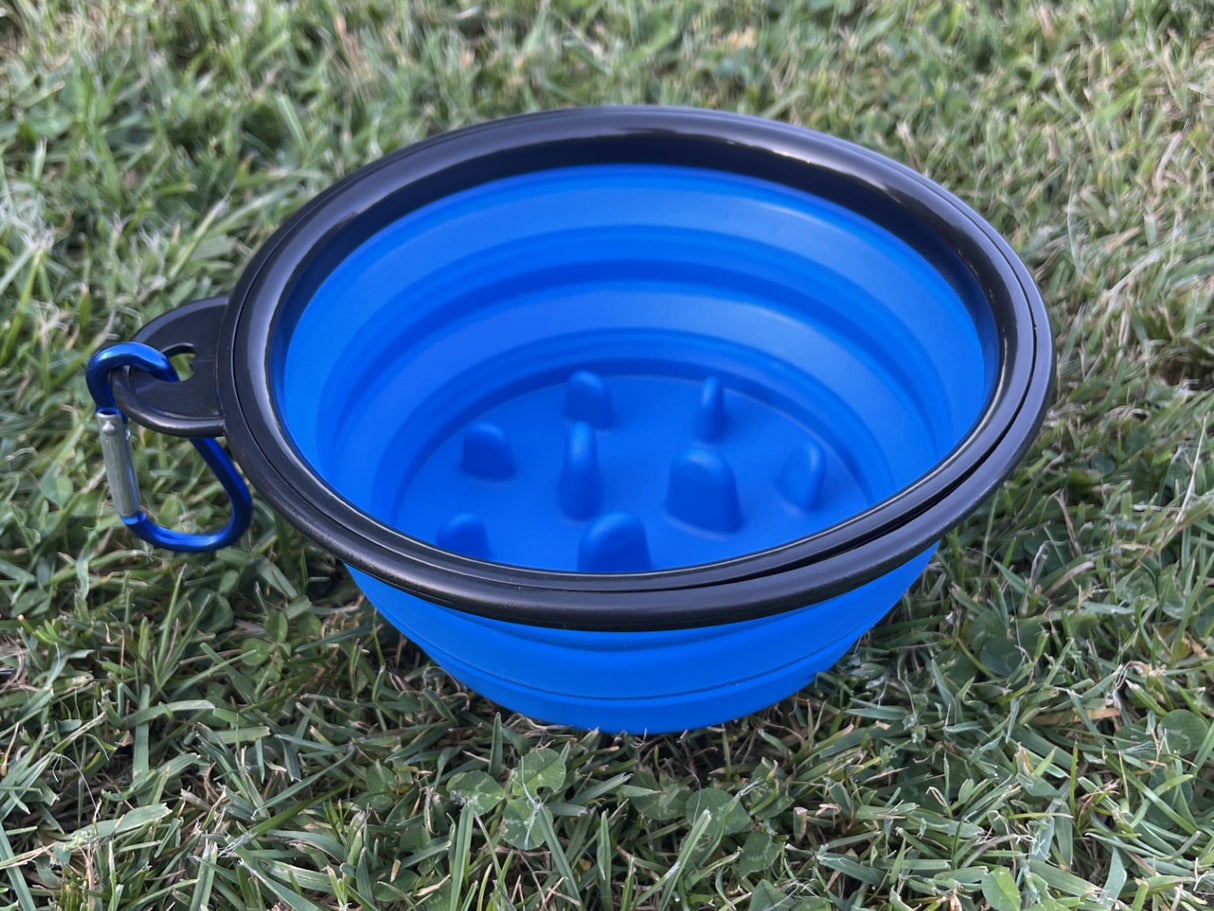 Collapsible Slow Feeding Travel Bowl with Carabiner Clip - Blue