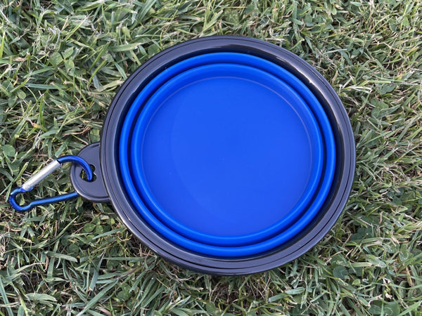 Collapsible Folding Travel Water Bowl with Carabiner Clip - Blue