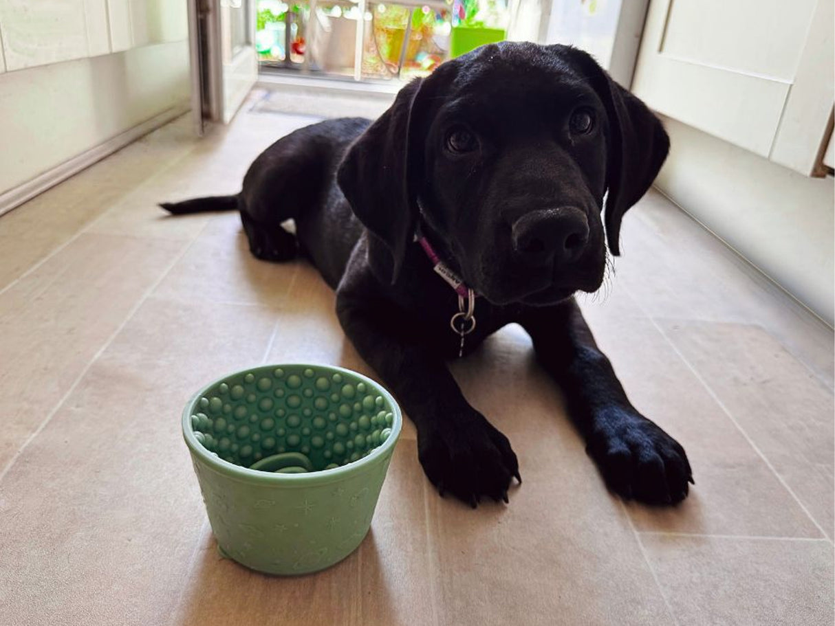 Anxiety Reducing Slow Feeding Lick Bowl - Small