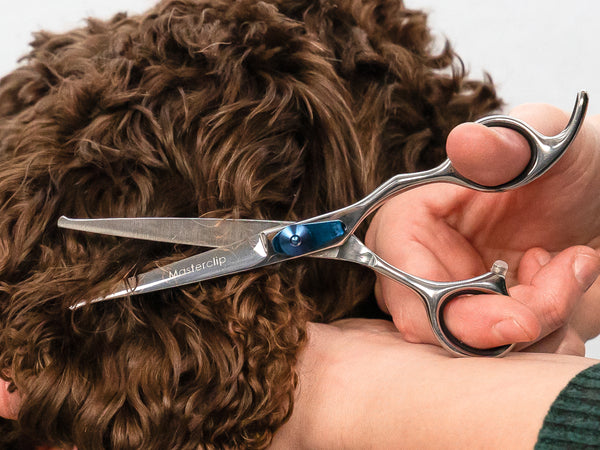 Masterclip bull nose safety scissors trimming a cockapoo ear - close up shot