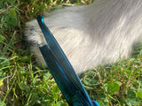 TOPAZ - 6” Premium Bull Nose High Gloss Blue Dog Grooming Scissors Shears | Right Handed