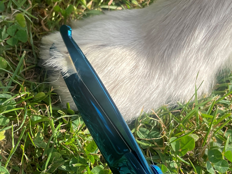 TOPAZ - 6” Premium Bull Nose High Gloss Blue Dog Grooming Scissors Shears | Right Handed