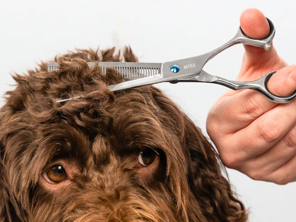 ESSENTIALS - 6.5" Square Edged Safety Thinning Scissors | Right Handed