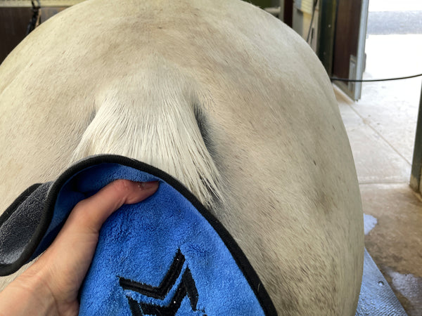 Must Have LARGE Microfibre Cloth