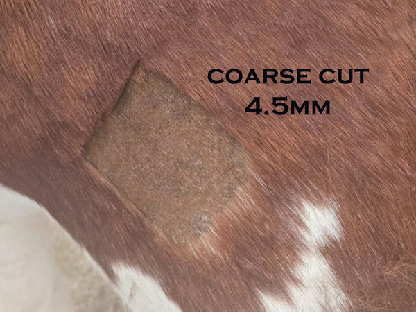Ex-Demo A2 Masterclip Cutter Blade Only (Small part of blade) Coarse