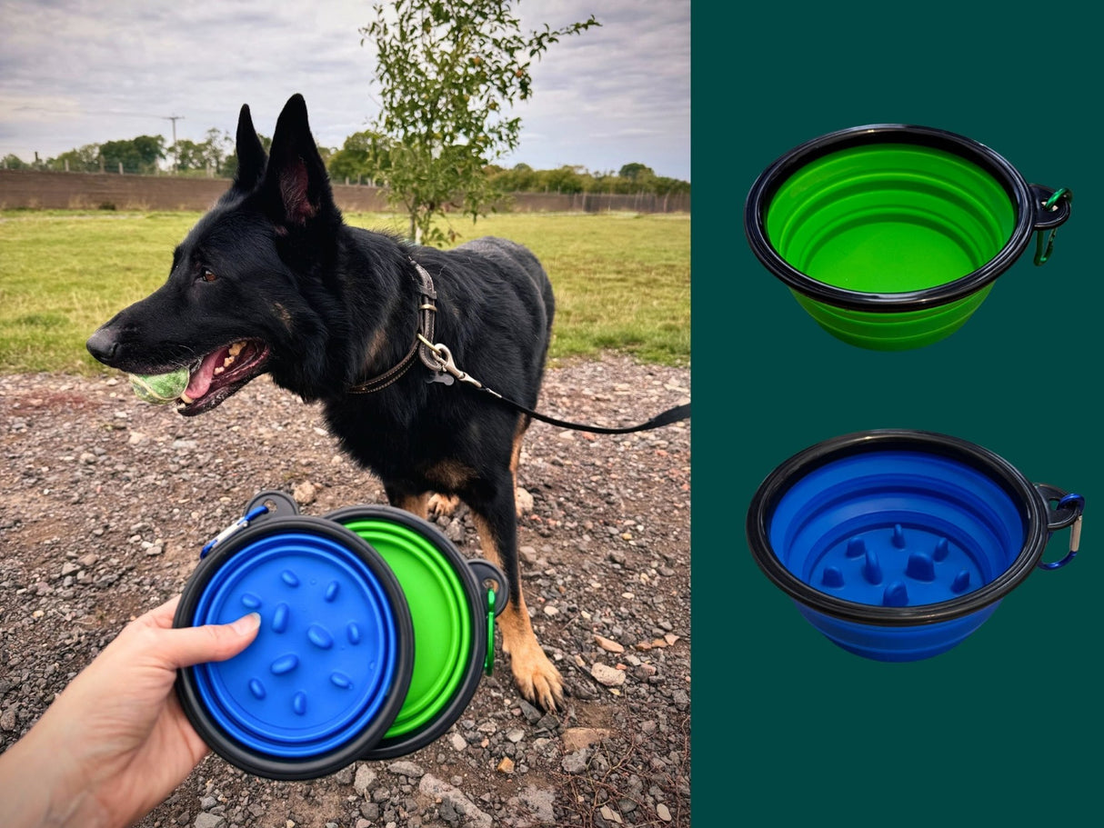 Collapsible Folding Travel Water Bowl with Carabiner Clip - Green