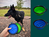 Collapsible Folding Travel Water Bowl with Carabiner Clip - Green