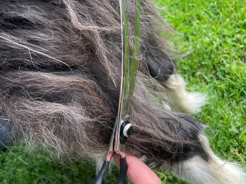 ONYX - 7.5” Premium Curved Dog Grooming Scissors / Shears | Right Handed