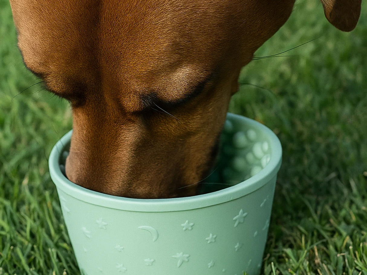 Anxiety Reducing Slow Feeding Lick Bowl - Small