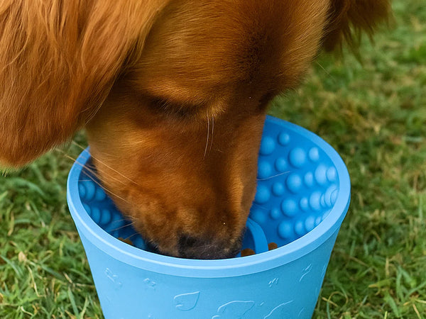 Anxiety Reducing Slow Feeding Lick Bowl - Large