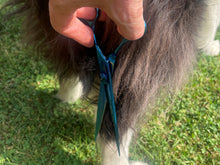 Load image into Gallery viewer, TOPAZ - 7.5” Premium High Gloss Blue Finishing Dog Grooming Scissors Shears | Right Handed