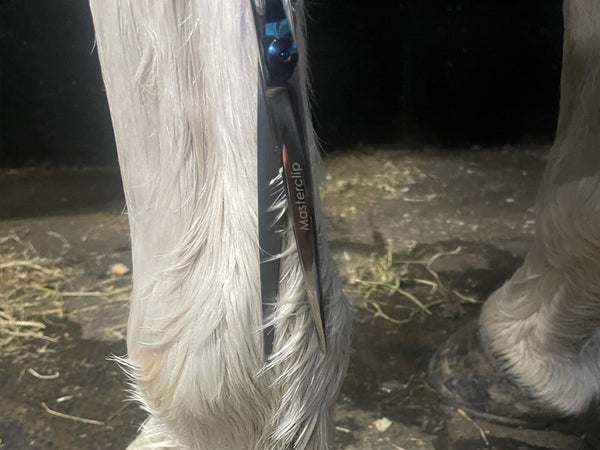 Finishing Scissors - Ideal for Legs &  All Show Prep