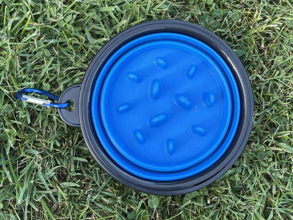 Collapsible Slow Feeding Travel Bowl with Carabiner Clip - Blue