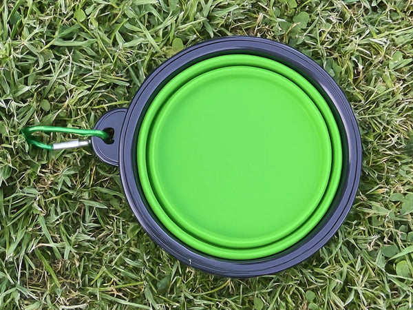 Collapsible Folding Travel Water Bowl with Carabiner Clip - Green