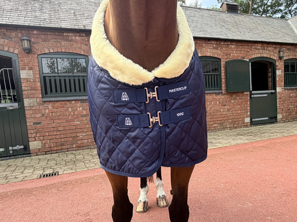 Masterclip 100G Stable Rug - Diamond Quilted Ideal Post Clip  - Lightweight & Insulating