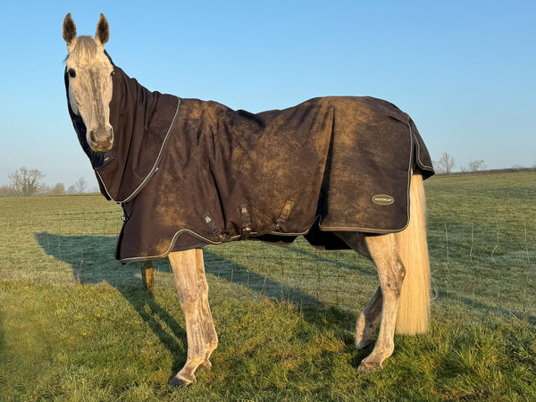 Masterclip 100G Springtime Transitional Turnout Rug - Waterproof  & Breathable
