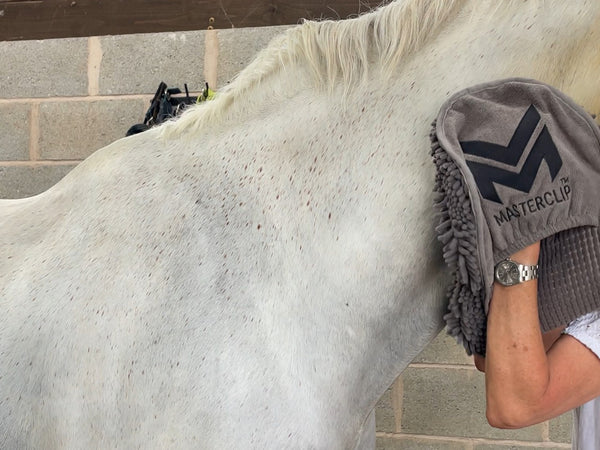 Microfibre Chenille Noodle Super Absorbent Drying Mittens - Hot Clothing