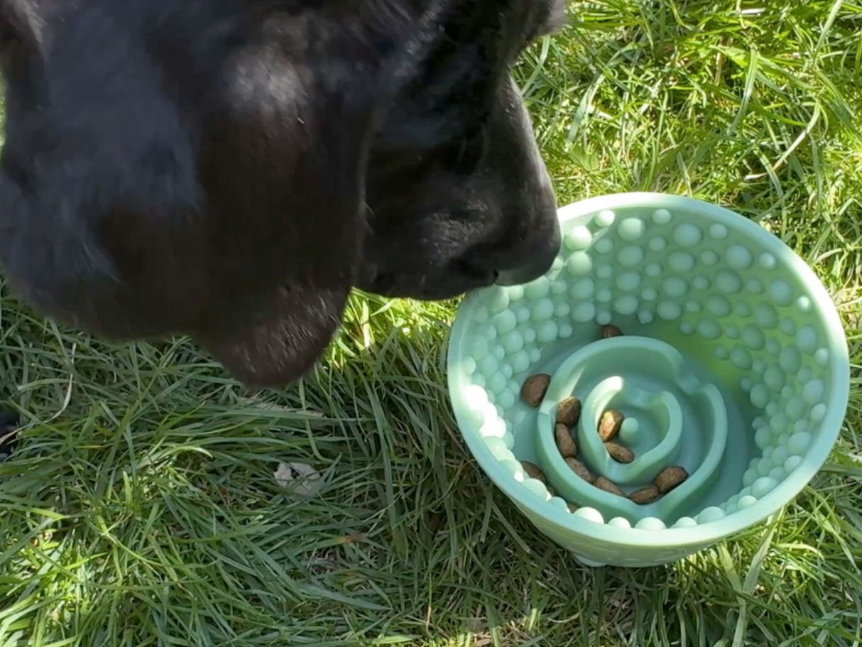 Anxiety Reducing Slow Feeding Lick Bowl - Small