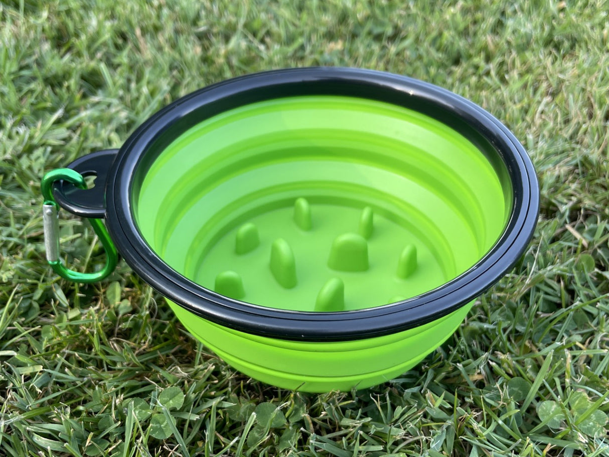 Collapsible Slow Feeding Travel Bowl with Carabiner Clip - Green