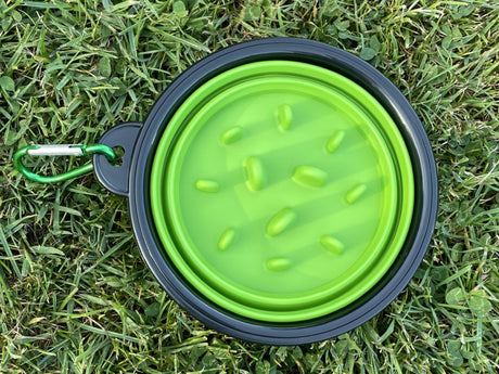 Collapsible Slow Feeding Travel Bowl with Carabiner Clip - Green