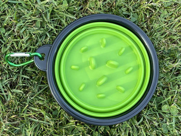 Collapsible Slow Feeding Travel Bowl with Carabiner Clip - Green